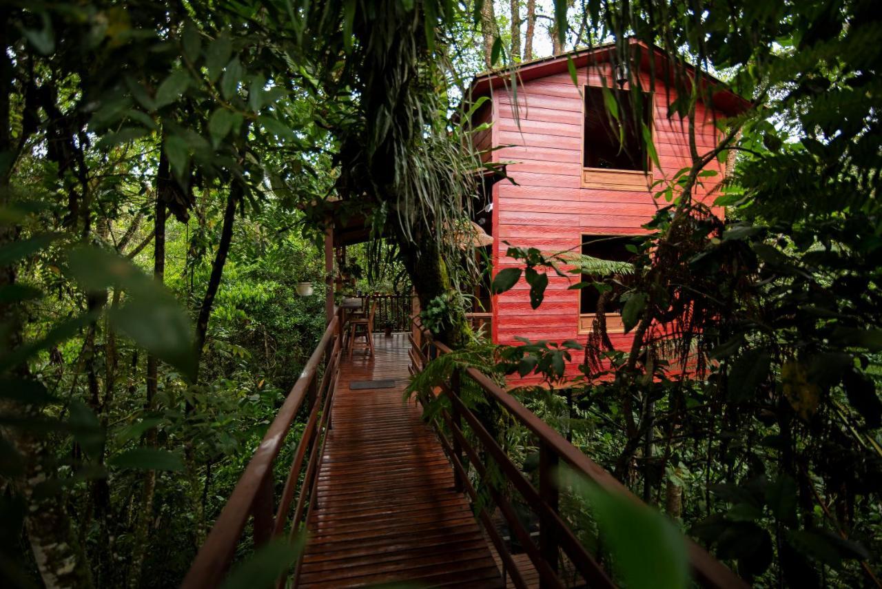 Tominejo Ecolodge - Casas En Los Arboles Neira Esterno foto