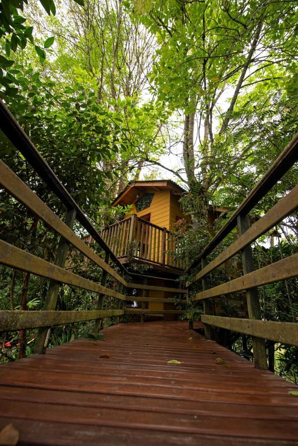 Tominejo Ecolodge - Casas En Los Arboles Neira Esterno foto