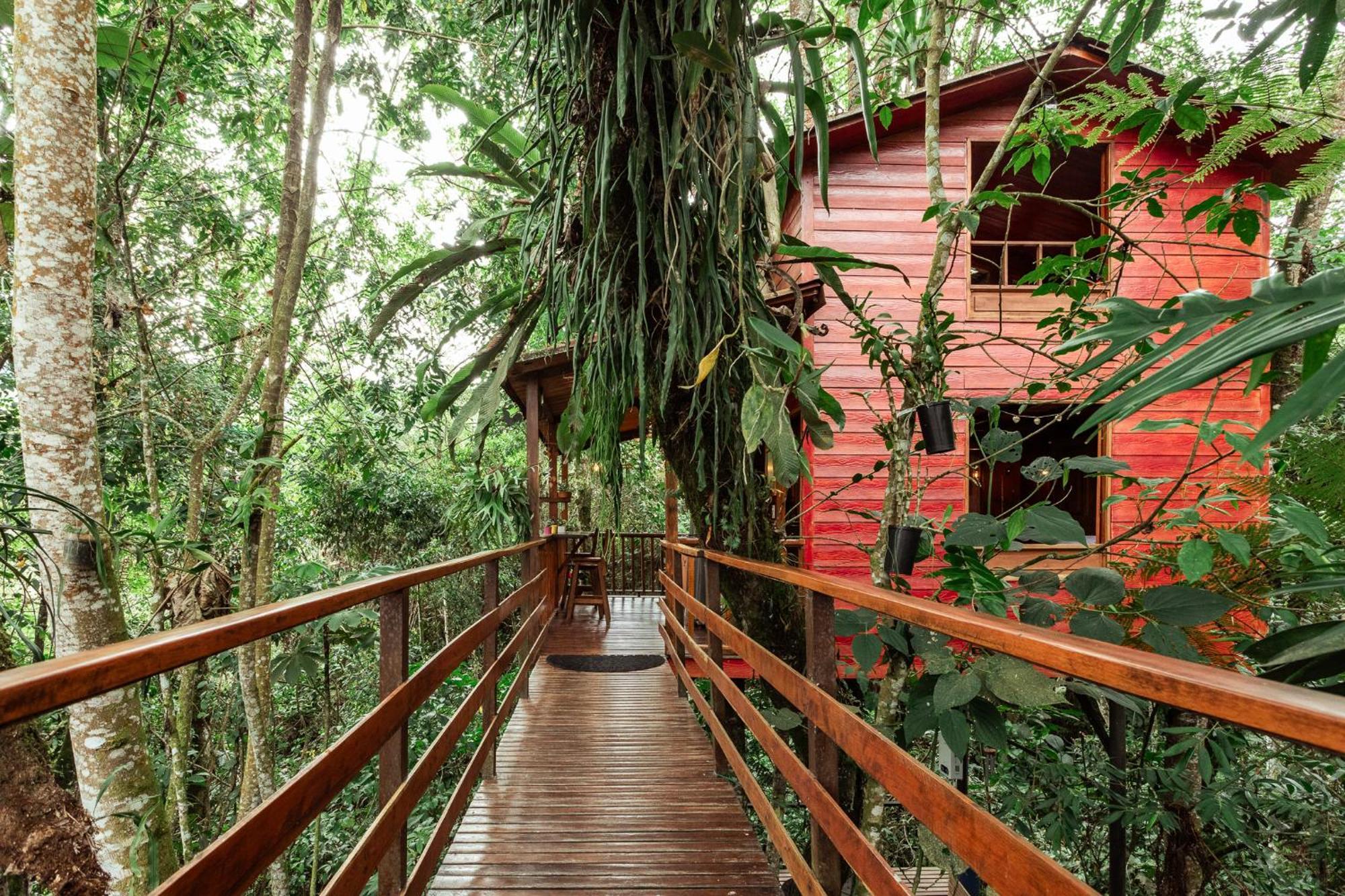 Tominejo Ecolodge - Casas En Los Arboles Neira Esterno foto