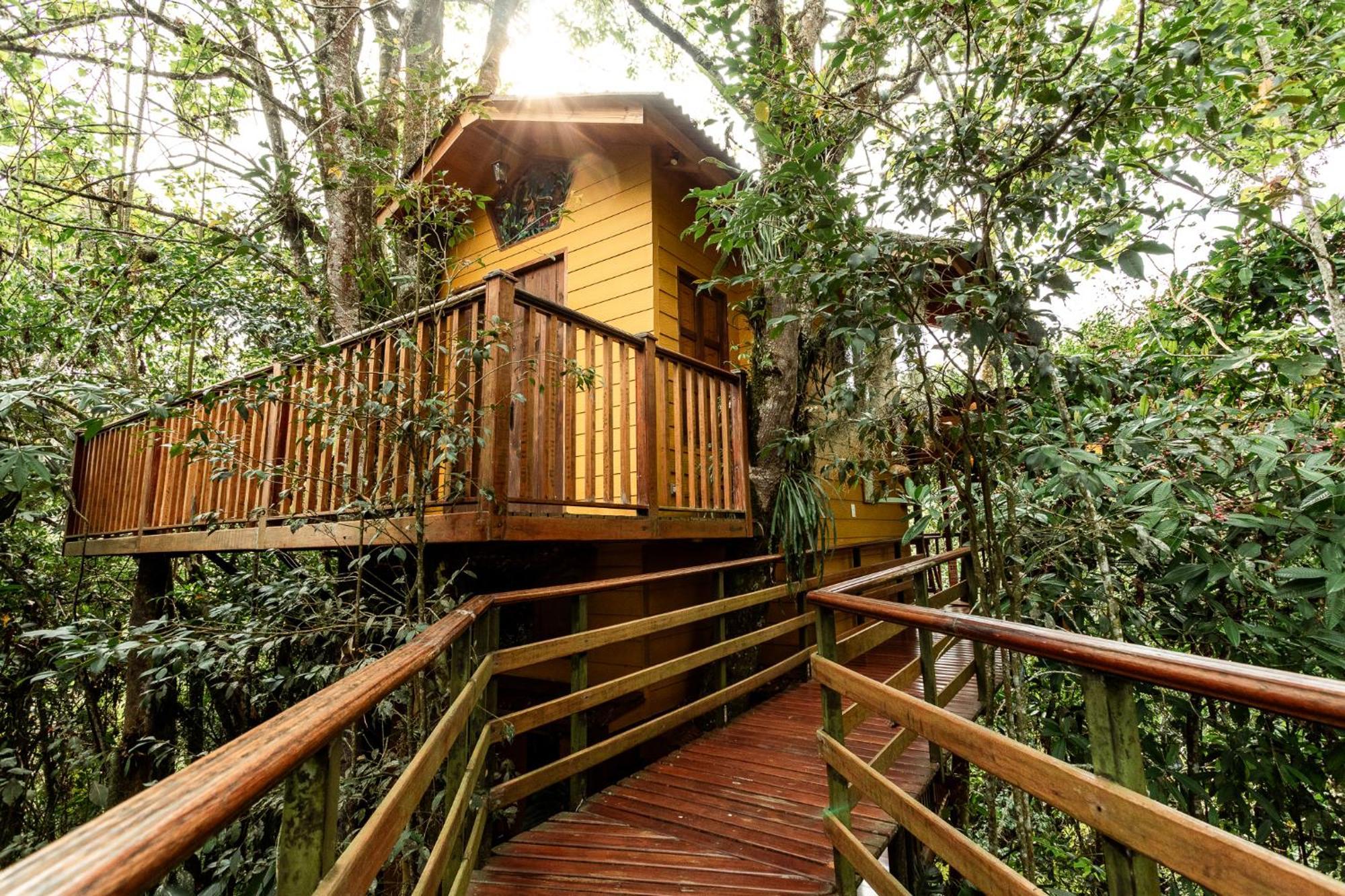 Tominejo Ecolodge - Casas En Los Arboles Neira Esterno foto