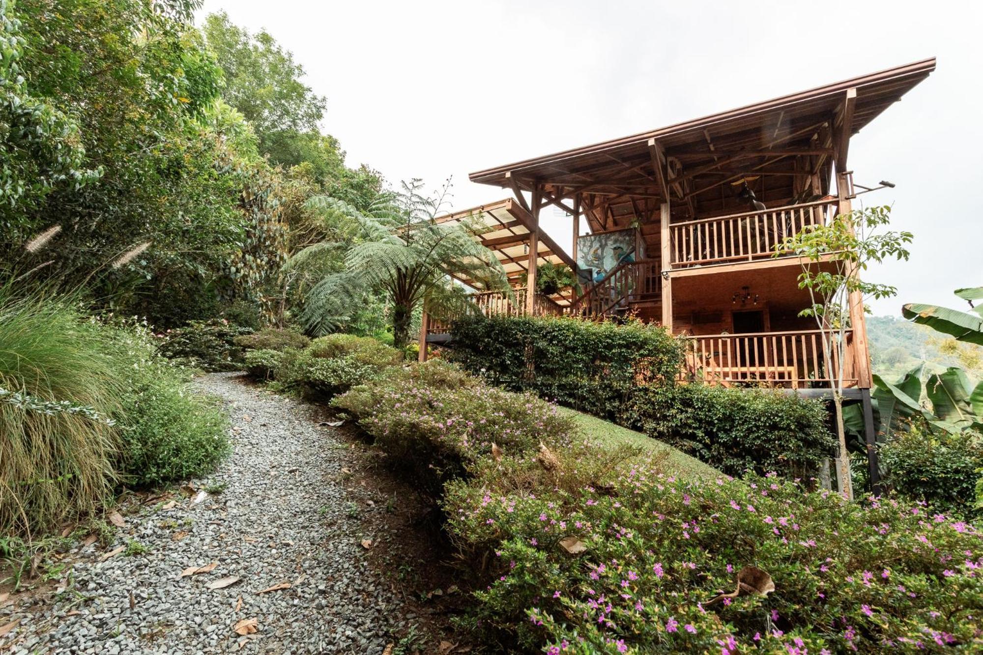 Tominejo Ecolodge - Casas En Los Arboles Neira Esterno foto