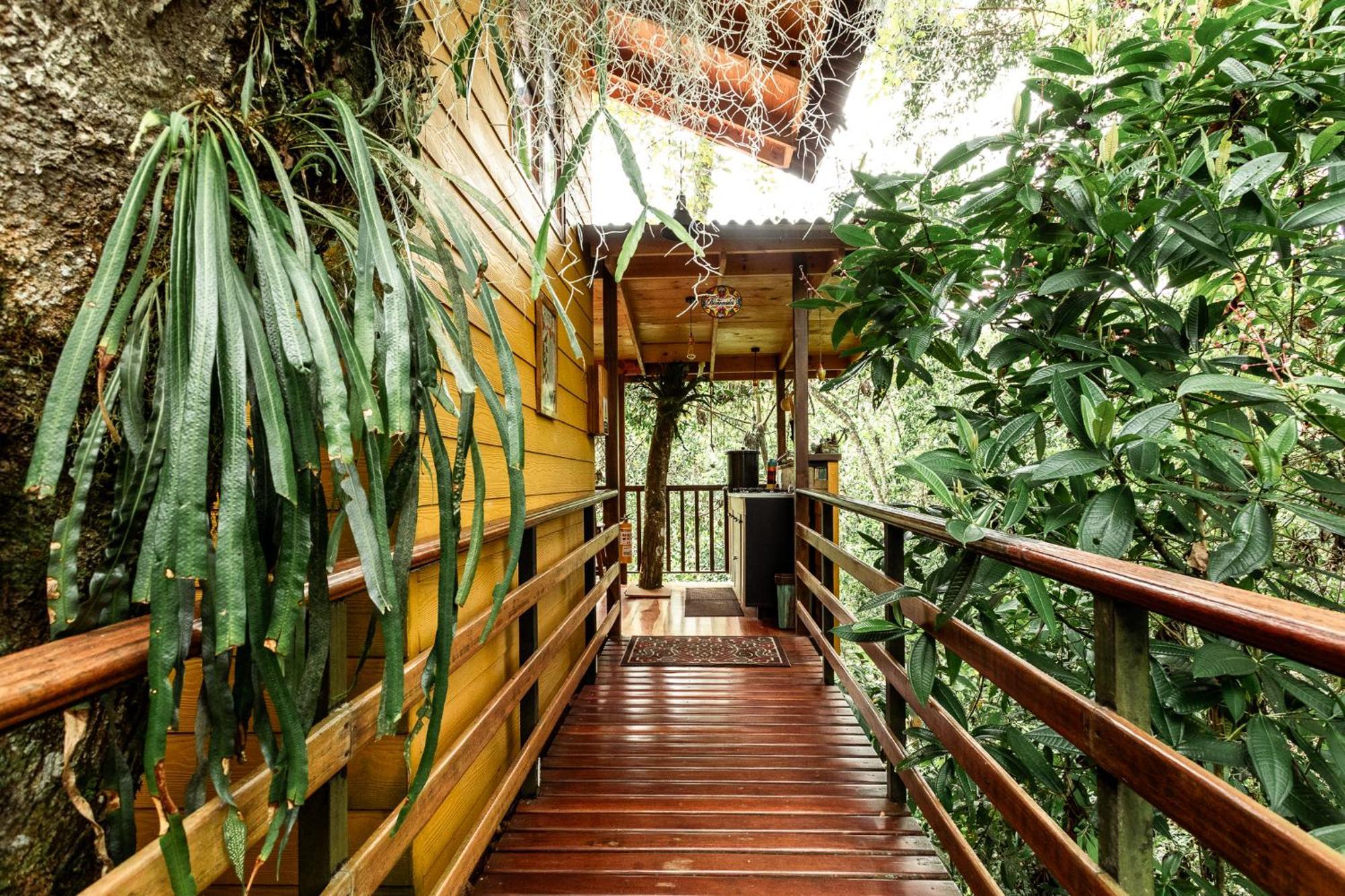 Tominejo Ecolodge - Casas En Los Arboles Neira Esterno foto